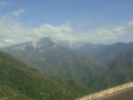Sequoia NP